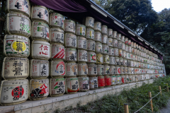Tokyo Japan-7209