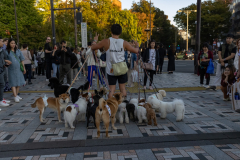 Tokyo Japan-7227
