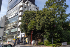 Tokyo Japan-7321