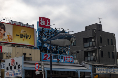 Tokyo Japan-7326
