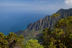 KAUAI_PuuOKila