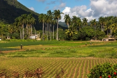 Iznaga_Valle de los Ingenios