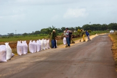 Schweinebucht_Getreidetrocknung auf Strasse