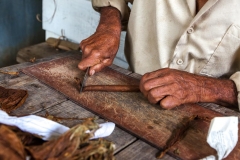 Viñales_Zigarrenfertigung