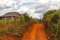 Viñales_Feldweg mit Hütte