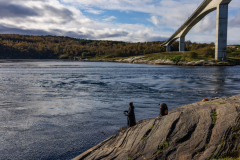 Saltstraumen