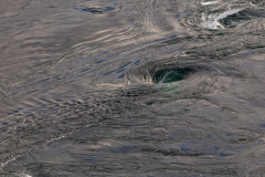 Saltstraumen Gezeitenströmung Strudel