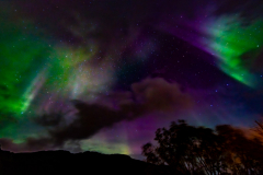 Lofoten_Polarlichter