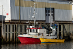 Henningsvaer Hafen