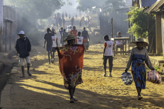 1_Madagaskar-Gegenlicht