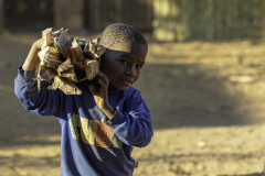 1_Madagaskar-Junge-mit-Feuerholz
