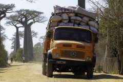 1_Madagaskar-Mercedes-Kurzhauber