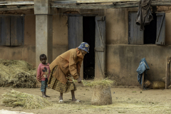 1_Madagaskar-Reis-dreschen