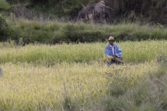 1_Madagaskar-Reisbauer