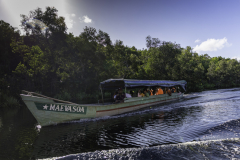 Madagaskar-panganales