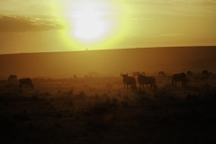 Sonnenuntergang_6TB1413