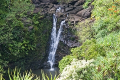 Maui_GardenofEden