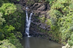 Maui_GardenofEden