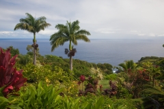 Maui_GardenofEden