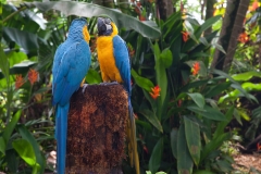 Maui_GardenofEden