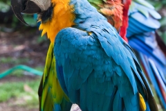 Maui_GardenofEden