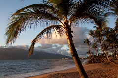 Maui_Strand