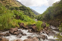 Maui_IaoValley