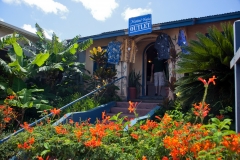 Maui_Paia