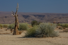 Namibia_Fish River Canyon