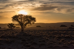 Namibia_Sossusvlei