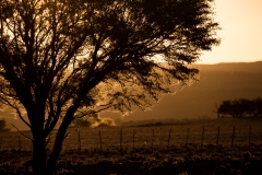 Namibia_Sossusvlei