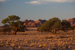 Namibia_Sossusvlei