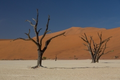 Namibia_Deadvlei