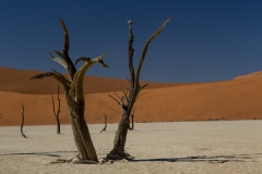 Namibia_Deadvlei