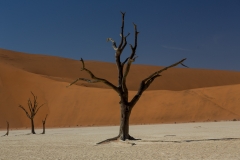 Namibia_Deadvlei