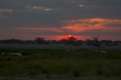 Namibia_Etosha