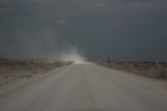 Namibia_Etosha