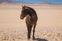 Namibia_Aus