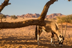 Namibia_Sossusvlei