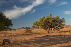 Namibia_Sossusvlei
