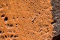 Namibia_Twiefelfontein
