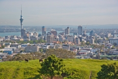 neuseeland, Auckland