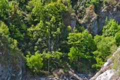 neuseeland, Bungee Kawarau Bridge