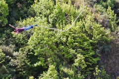 neuseeland, Bungee Kawarau Bridge
