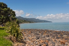 neuseeland, Coromandel