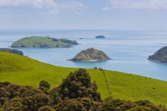 neuseeland, Coromandel