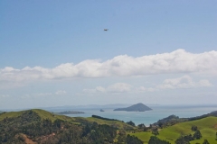 neuseeland, Coromandel