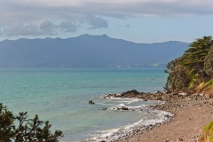 neuseeland, Coromandel