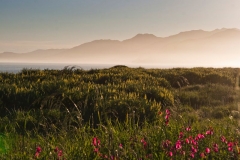 neuseeland, Kaikoura