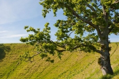 neuseeland, Mount Eden